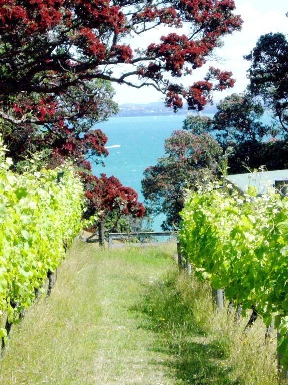Waiheke Island Vineyard Holiday Houses Surfdale 외부 사진